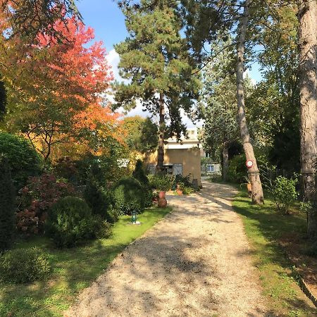 Studio Fond De Jardin Palaiseau Eksteriør bilde